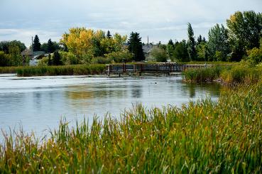 Telford Lake